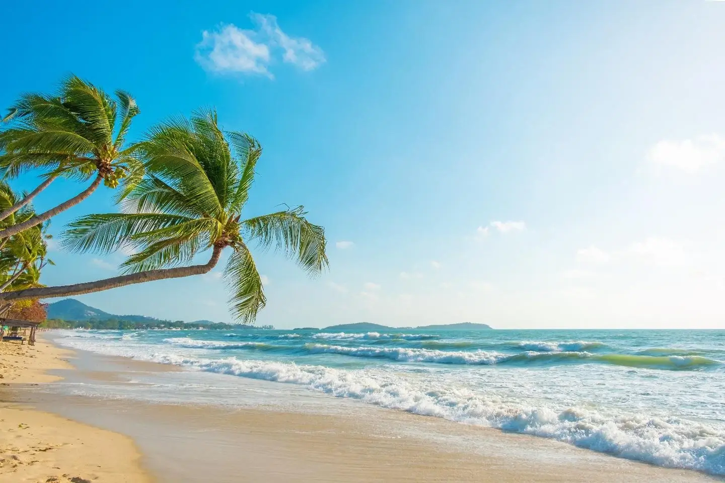 4 bedroom pool villa in Lamai Koh Samui 4 bedroom pool villa in Lamai Koh Samui